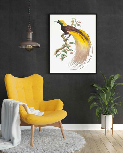 Bird Of Paradise - Animal Art Frame For Wall Decor- Funkydecors Xs / Black Posters Prints & Visual