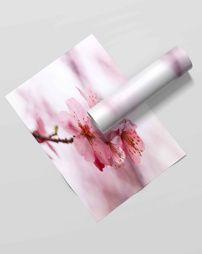 Cherry Blossom - Floral Art Frame For Wall Decor- Funkydecors Xs / Roll Posters Prints & Visual