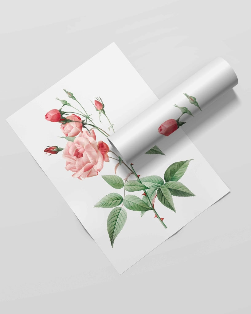 Pink Roses - Nature Art Frame For Wall Decor- Funkydecors Xs / Roll Posters Prints & Visual Artwork
