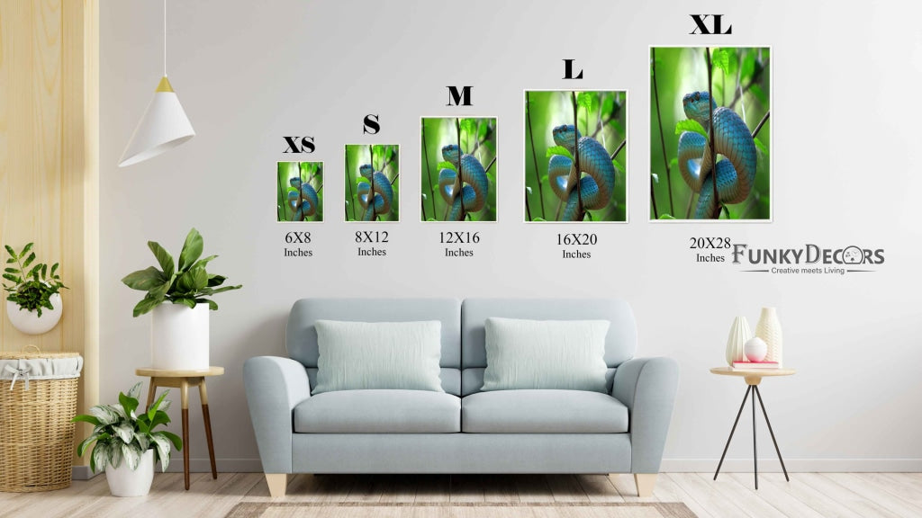 Pit Viper - Animal Art Frame For Wall Decor- Funkydecors Posters Prints & Visual Artwork