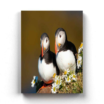 The Atlantic Puffin - Animal Art Frame For Wall Decor- Funkydecors Xs / Canvas Posters Prints &
