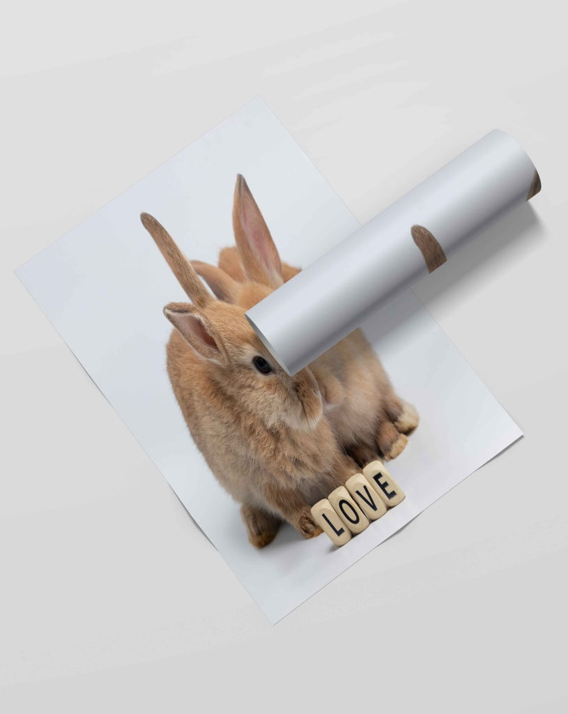 The Bunny - Animal Art Frame For Wall Decor- Funkydecors Xs / Roll Posters Prints & Visual Artwork