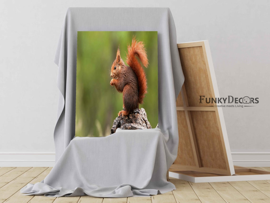 The Fluffy Tail - Animal Art Frame For Wall Decor- Funkydecors Posters Prints & Visual Artwork