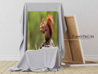 The Fluffy Tail - Animal Art Frame For Wall Decor- Funkydecors Posters Prints & Visual Artwork