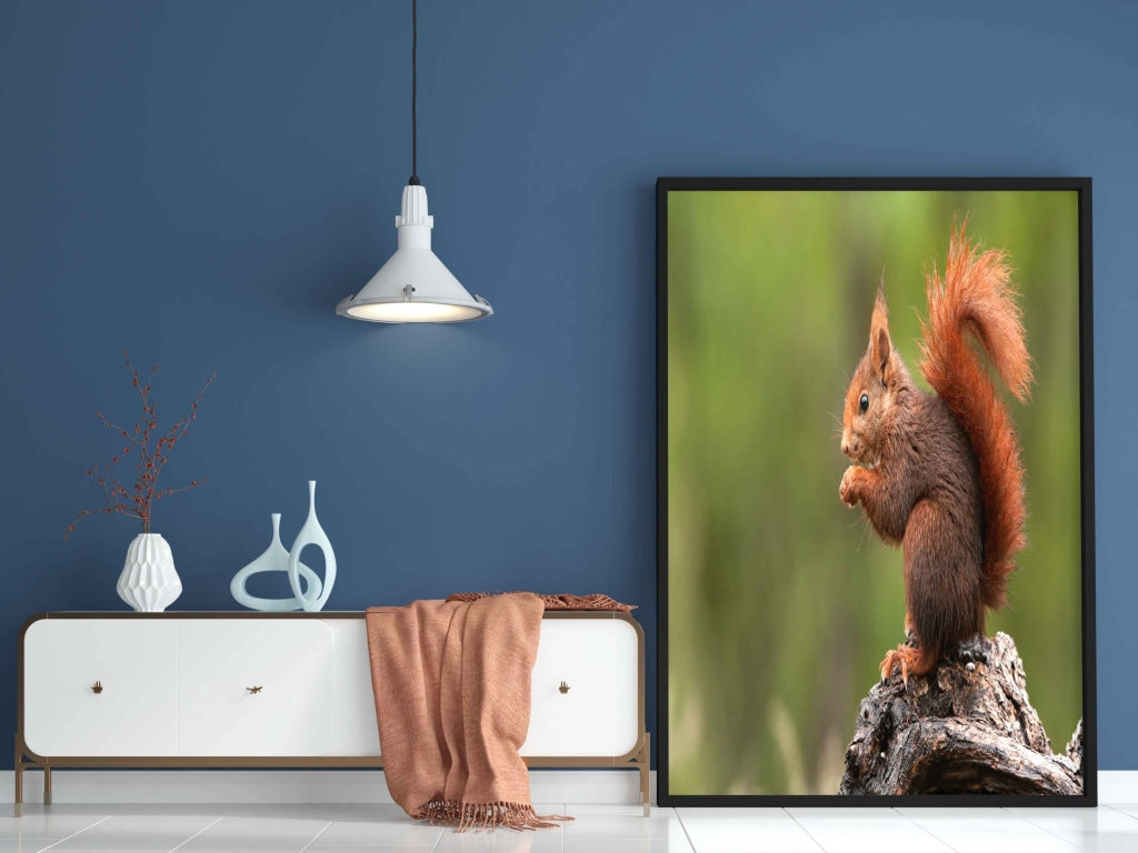 The Fluffy Tail - Animal Art Frame For Wall Decor- Funkydecors Xs / Black Posters Prints & Visual