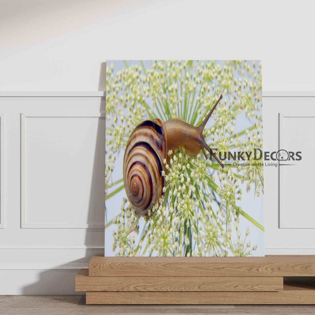 The Sluggish Snail - Animal Art Frame For Wall Decor- Funkydecors Posters Prints & Visual Artwork