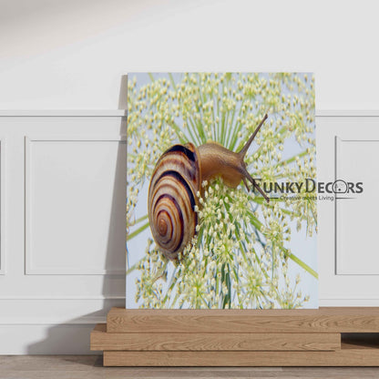 The Sluggish Snail - Animal Art Frame For Wall Decor- Funkydecors Posters Prints & Visual Artwork