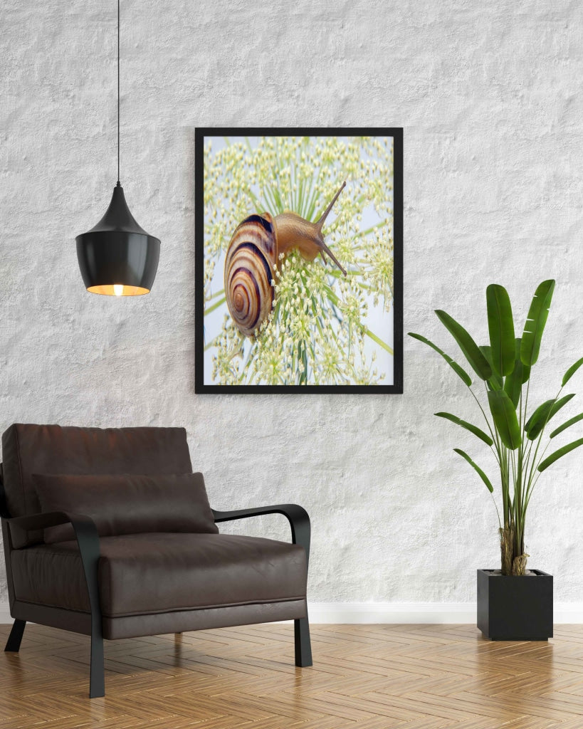 The Sluggish Snail - Animal Art Frame For Wall Decor- Funkydecors Xs / Black Posters Prints & Visual