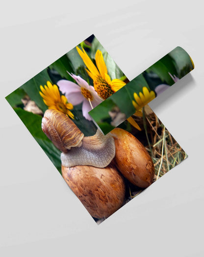 The Sluggish Snail - Animal Art Frame For Wall Decor- Funkydecors Xs / Roll Posters Prints & Visual