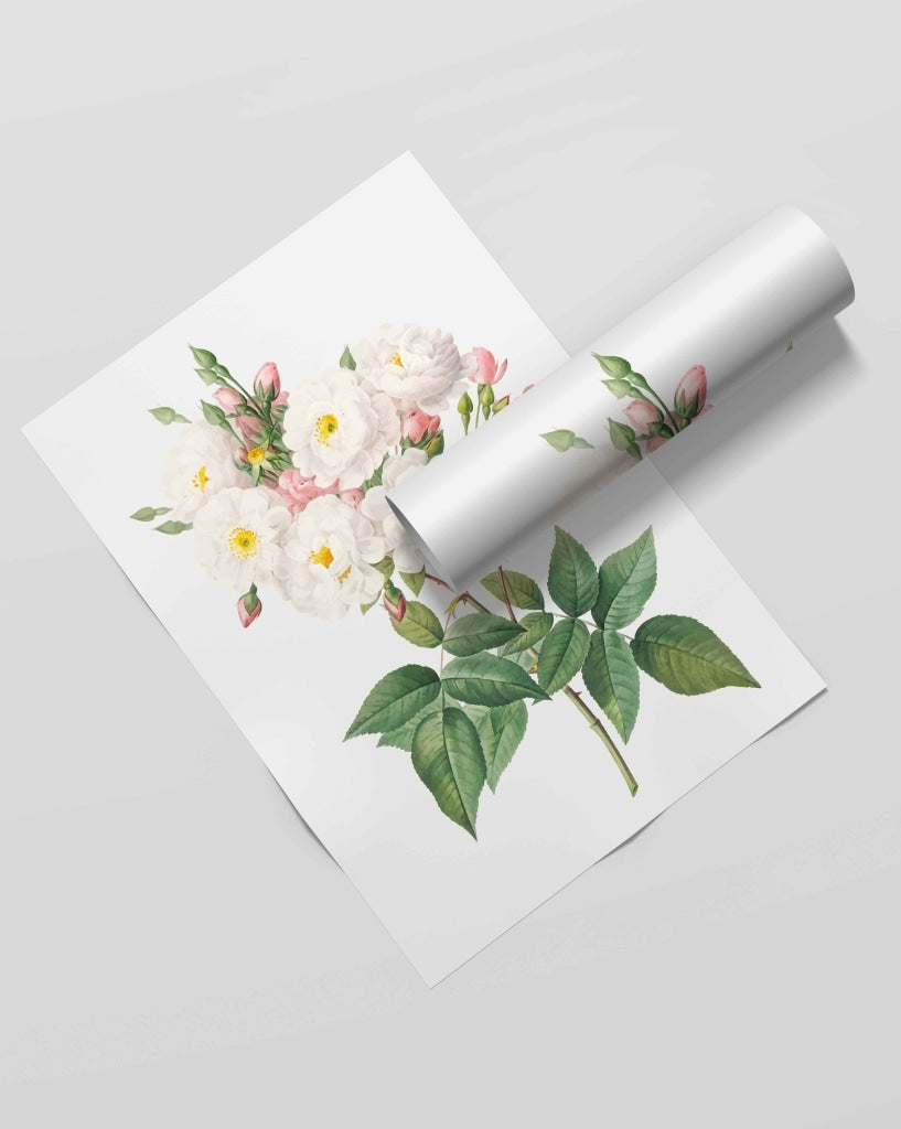 White As Frost - Nature Art Frame For Wall Decor- Funkydecors Xs / Roll Posters Prints & Visual