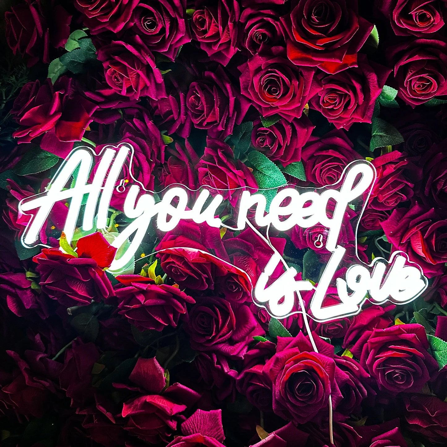 All You Need Is Love Neon Sign For Wedding Proposal Wall Decor- FunkyDecors