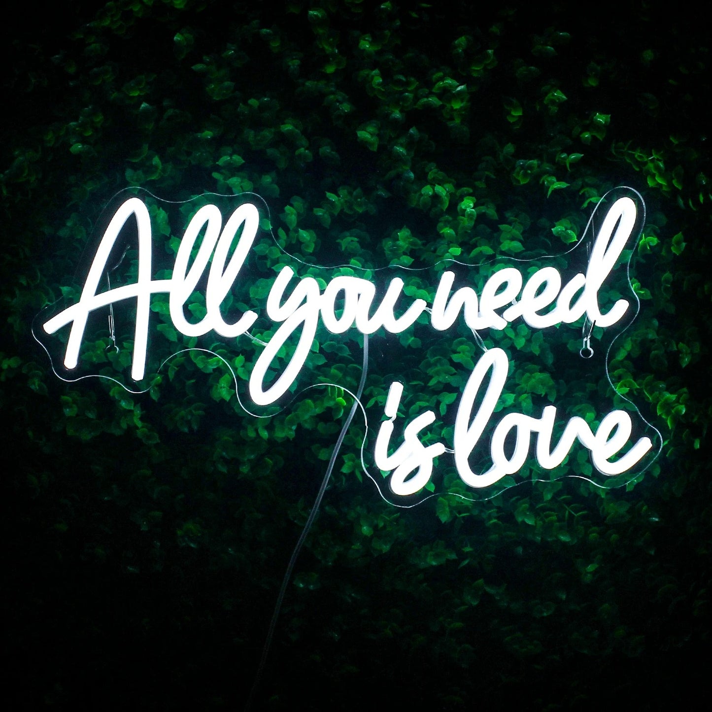 All You Need Is Love Neon Sign For Wedding Proposal Wall Decor- FunkyDecors