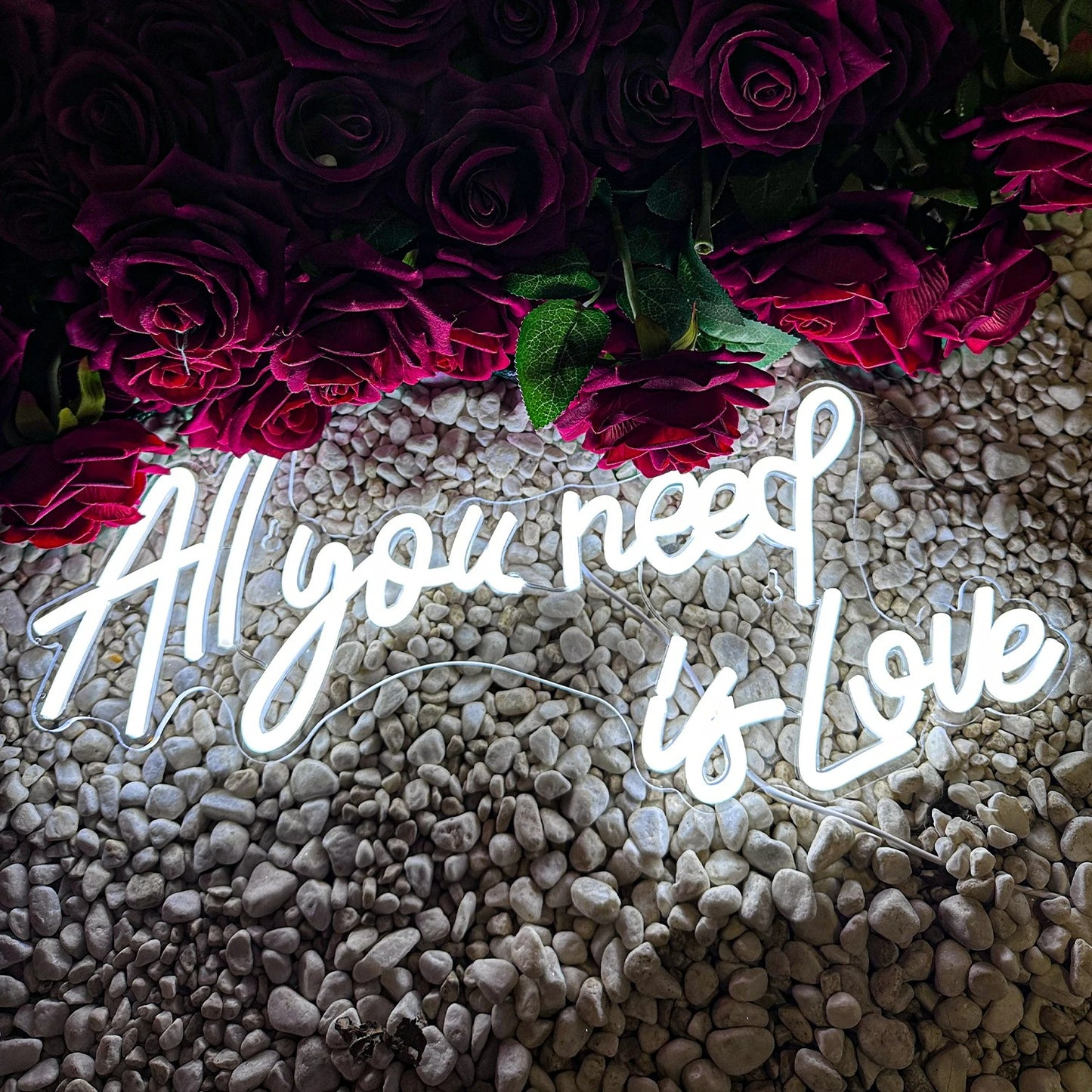 All You Need Is Love Neon Sign For Wedding Proposal Wall Decor- FunkyDecors