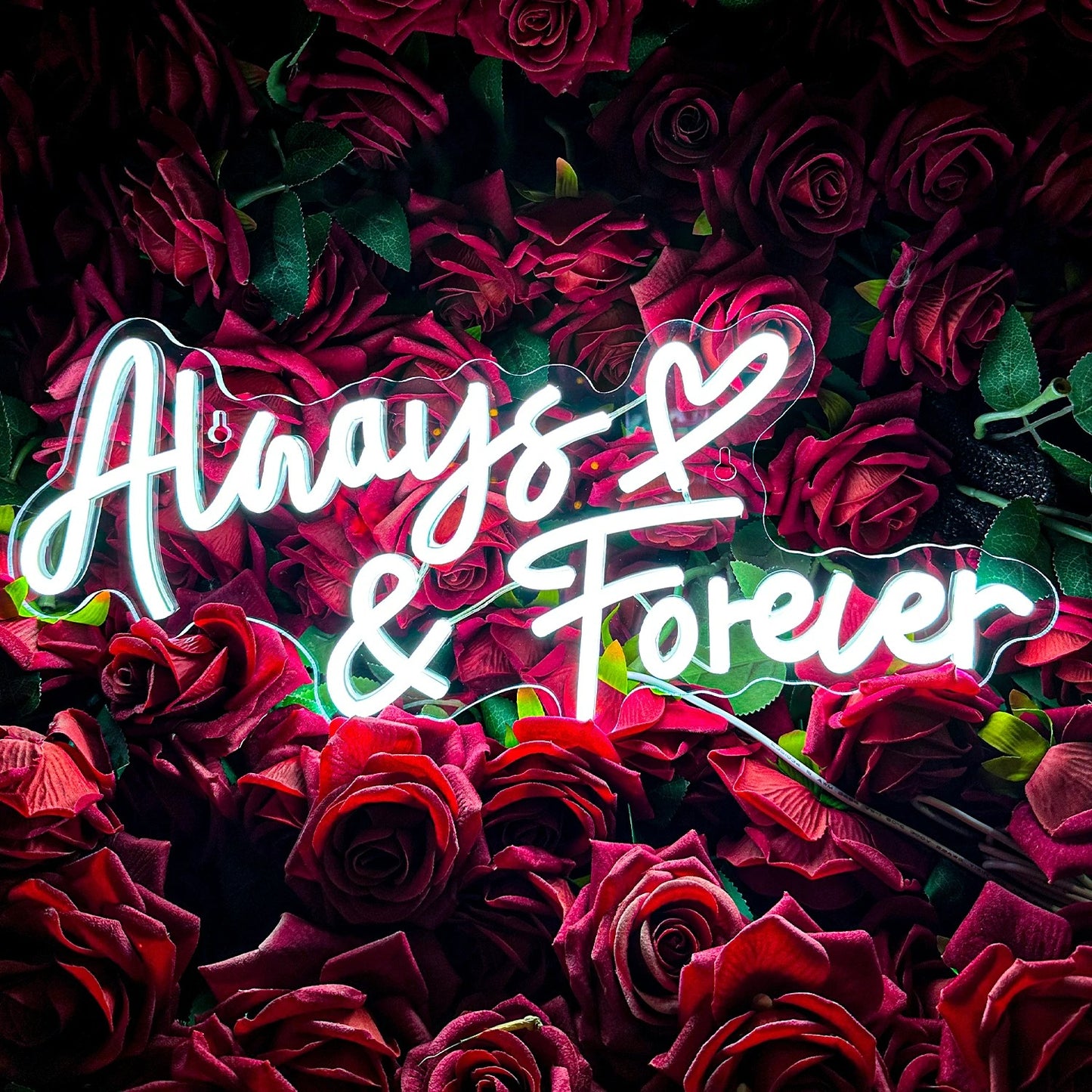 Always and Forever Neon Sign For Wedding Proposal Wall Decor- FunkyDecors