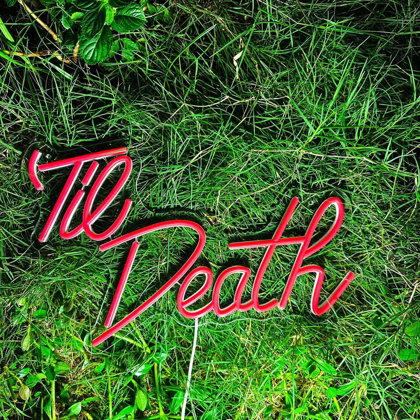 Till Death Neon Sign For Wedding Proposal Wall Decor- FunkyDecors