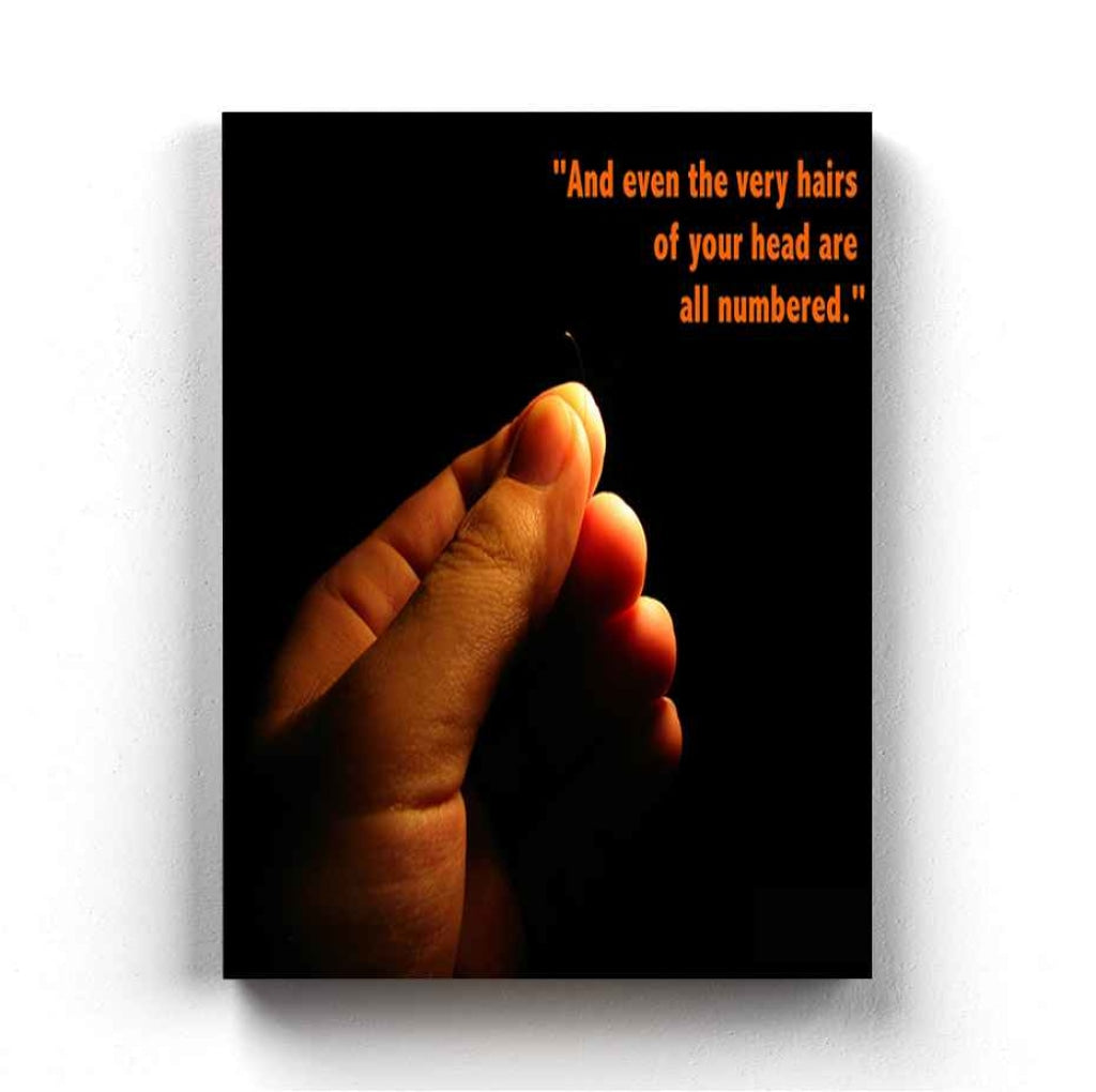 And Even The Very Hairs Of Your Head Are All Numbered - Motivation Quotes Art Frame For Wall Decor-