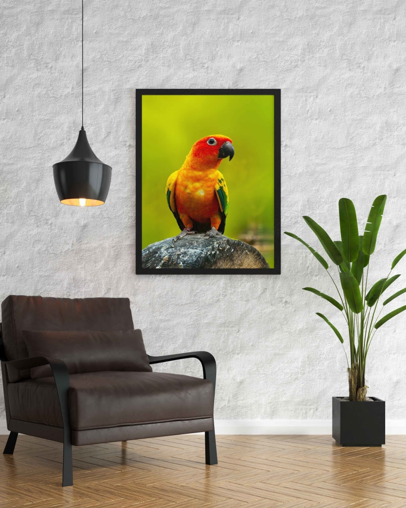 Being Bright - Animal Art Frame For Wall Decor- Funkydecors Xs / Black Posters Prints &amp; Visual
