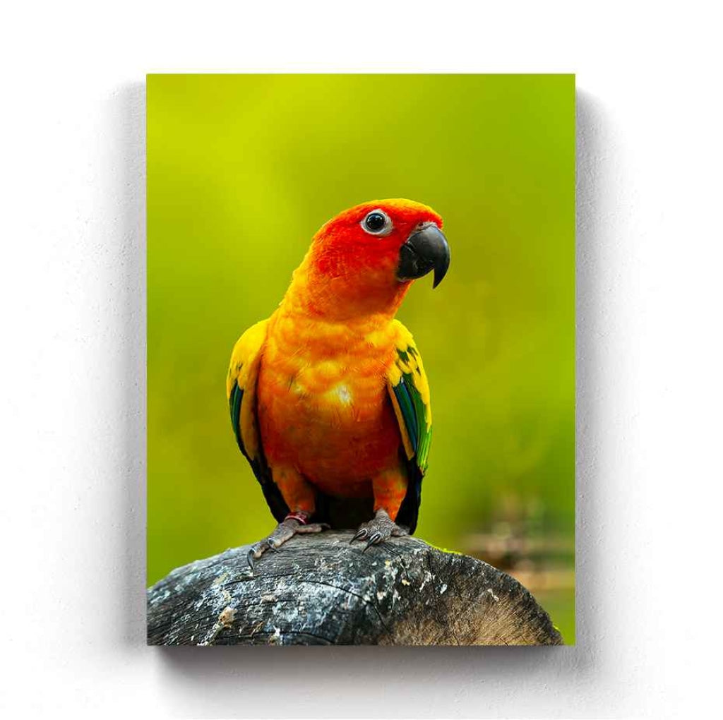 Being Bright - Animal Art Frame For Wall Decor- Funkydecors Xs / Canvas Posters Prints & Visual
