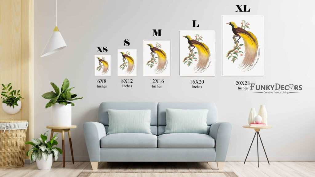 Bird Of Paradise - Animal Art Frame For Wall Decor- Funkydecors Posters Prints & Visual Artwork