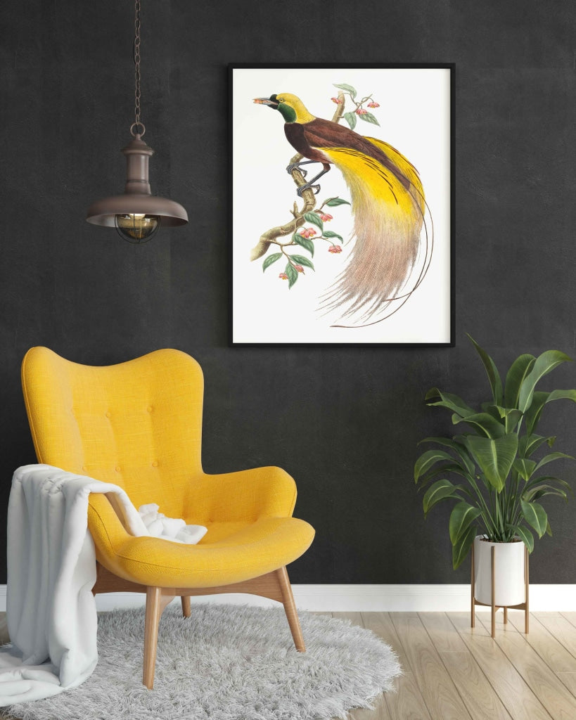 Bird Of Paradise - Animal Art Frame For Wall Decor- Funkydecors Xs / Black Posters Prints & Visual