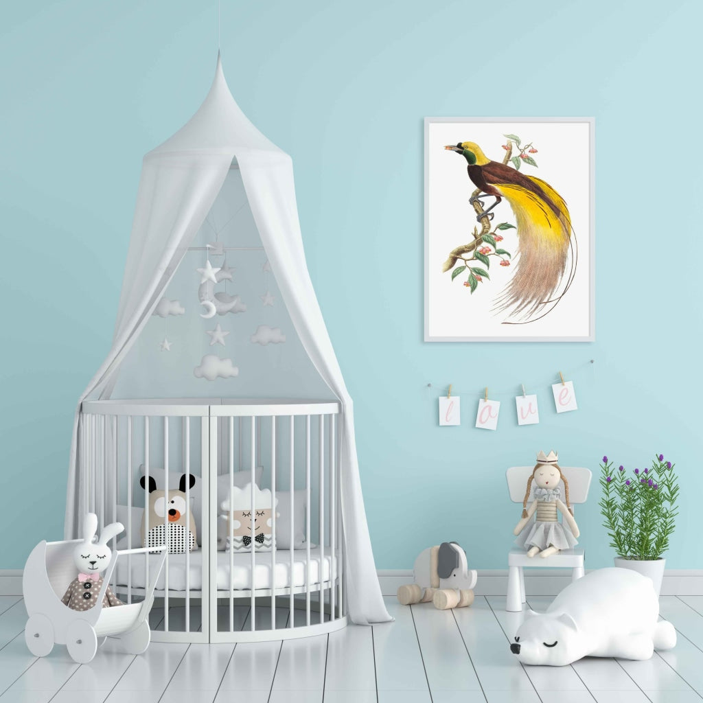 Bird Of Paradise - Animal Art Frame For Wall Decor- Funkydecors Xs / White Posters Prints & Visual