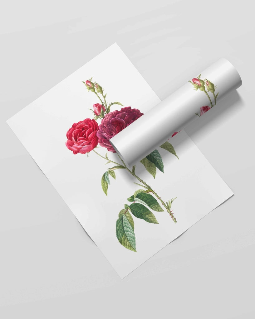 Blooming With Love - Nature Art Frame For Wall Decor- Funkydecors Xs / Roll Posters Prints & Visual