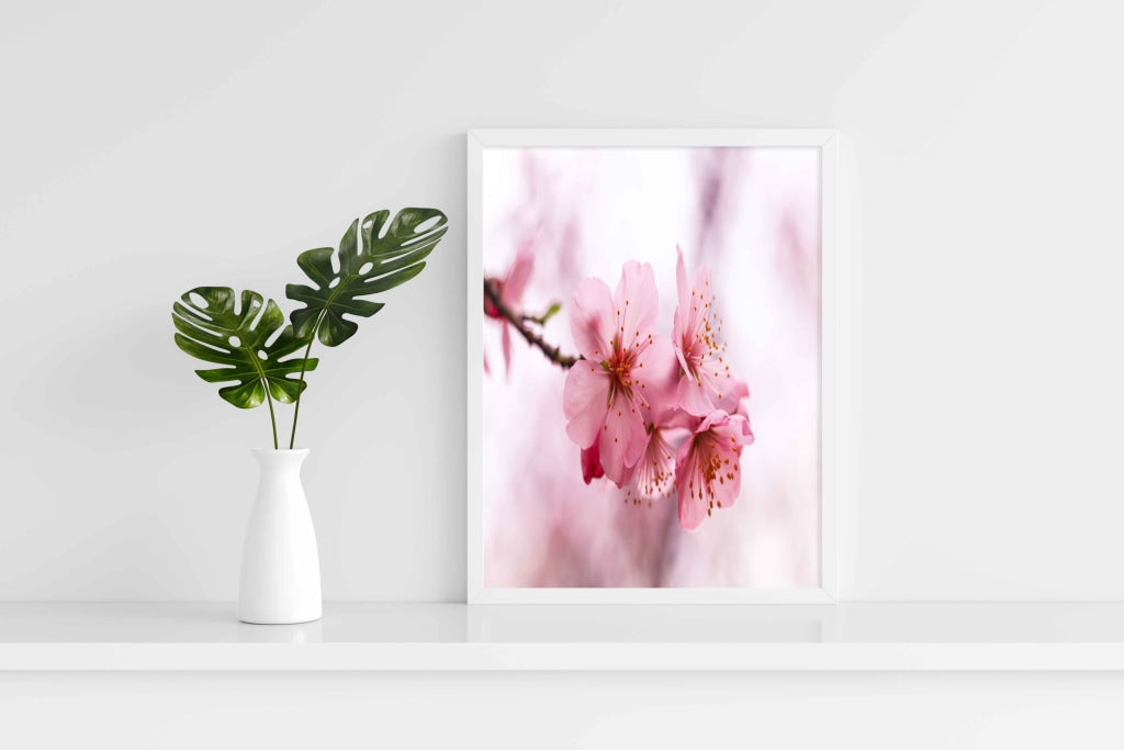 Cherry Blossom - Floral Art Frame For Wall Decor- Funkydecors Xs / White Posters Prints &amp; Visual