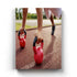 Dumbbell - Sports Art Frame For Wall Decor- Funkydecors Xs / Canvas Posters Prints & Visual Artwork