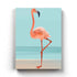 Fabulous Like Flamingo - Animal Art Frame For Wall Decor- Funkydecors Xs / Canvas Posters Prints &