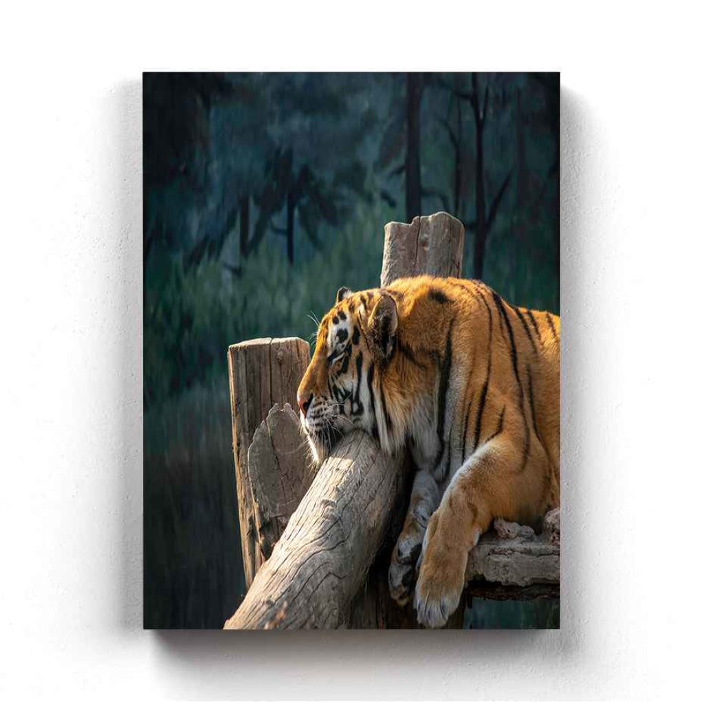 Fearless - Animal Art Frame For Wall Decor- Funkydecors Xs / Canvas Posters Prints &amp; Visual Artwork