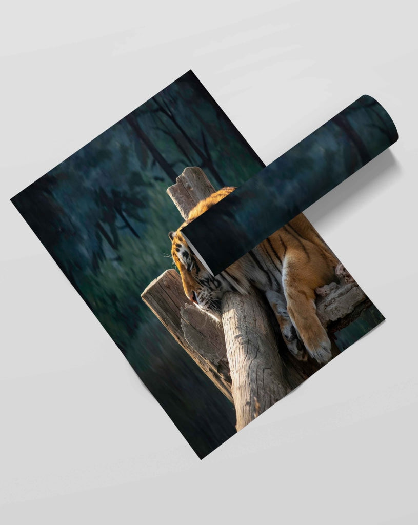 Fearless - Animal Art Frame For Wall Decor- Funkydecors Xs / Roll Posters Prints &amp; Visual Artwork