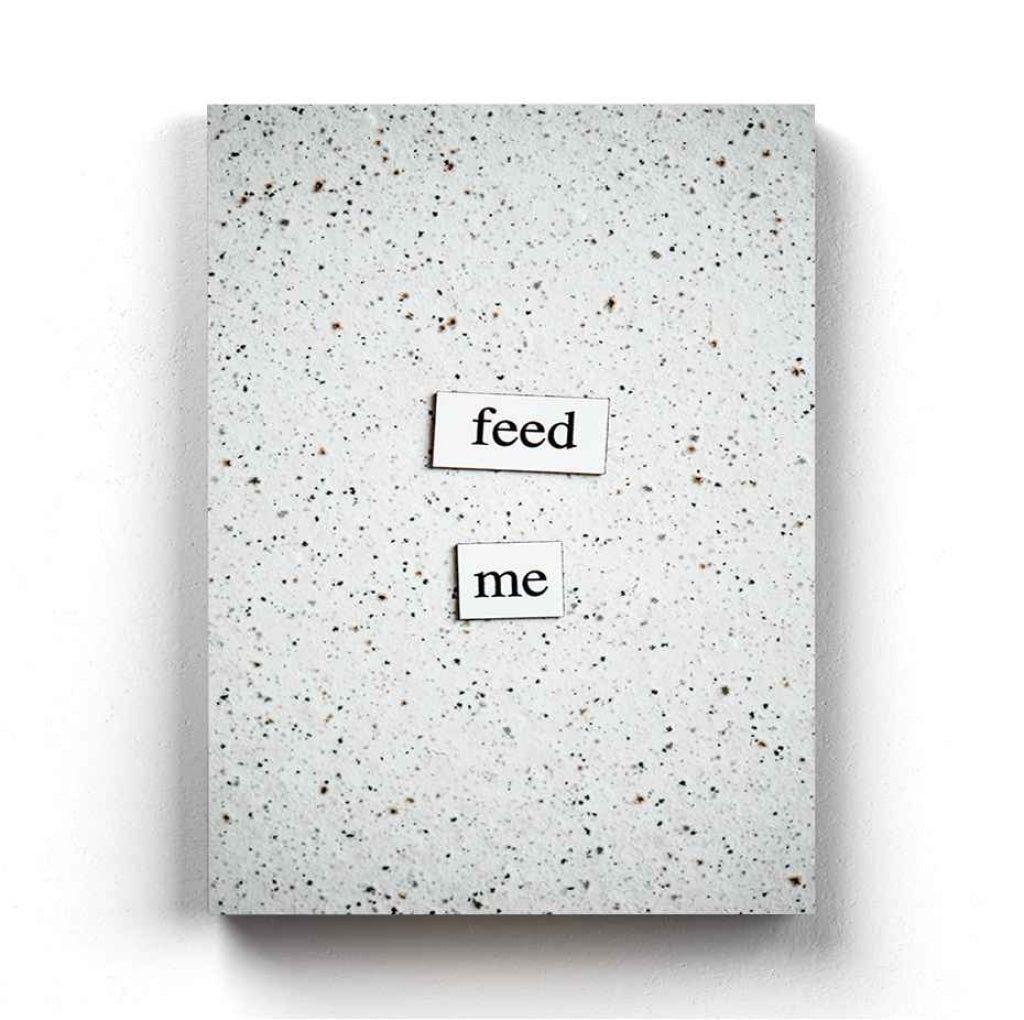 Feed Me - Quotes Art Frame For Wall Decor- Funkydecors Xs / Canvas Posters Prints & Visual Artwork