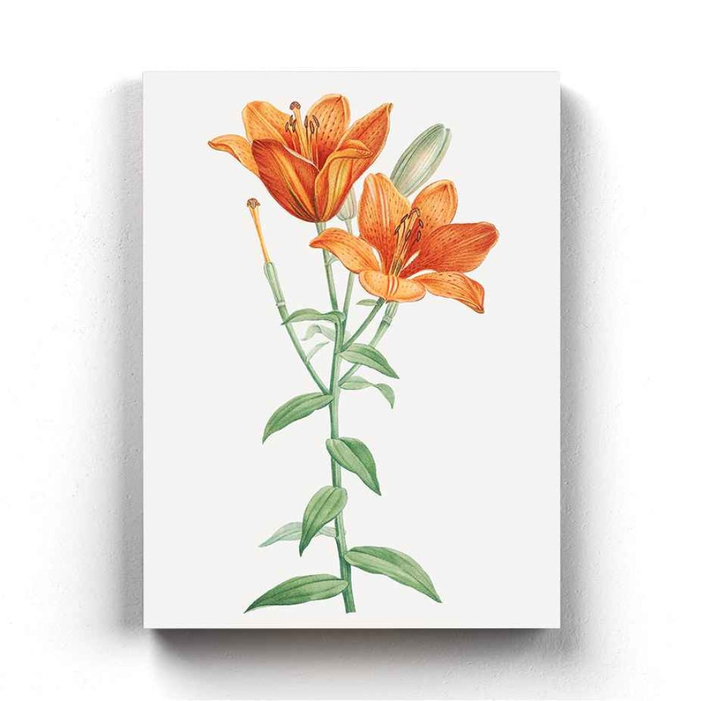 Fire Lily - Nature Art Frame For Wall Decor- Funkydecors Xs / Canvas Posters Prints & Visual Artwork