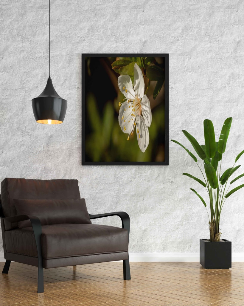 Fragrant Blossoms - Floral Art Frame For Wall Decor- Funkydecors Xs / Black Posters Prints &amp; Visual