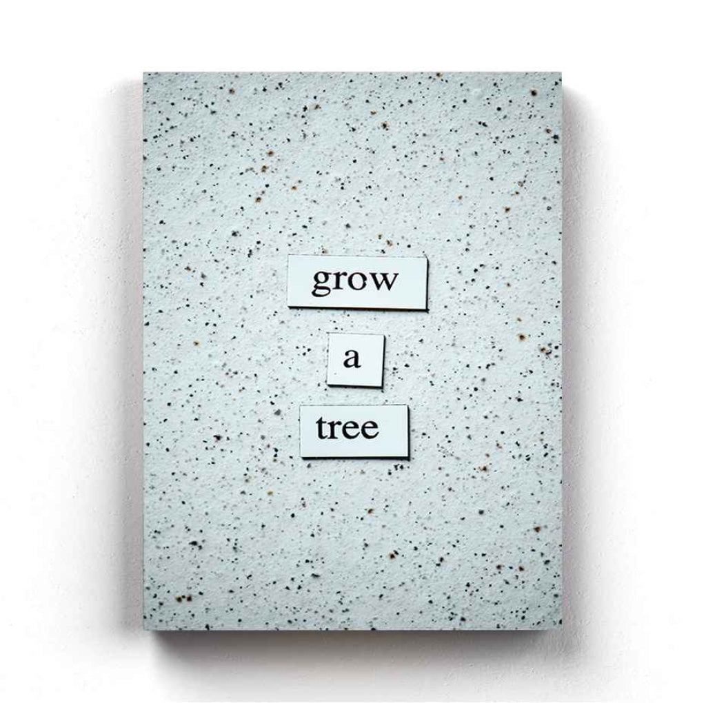 Grow A Tree - Quotes Art Frame For Wall Decor- Funkydecors Xs / Canvas Posters Prints &amp; Visual
