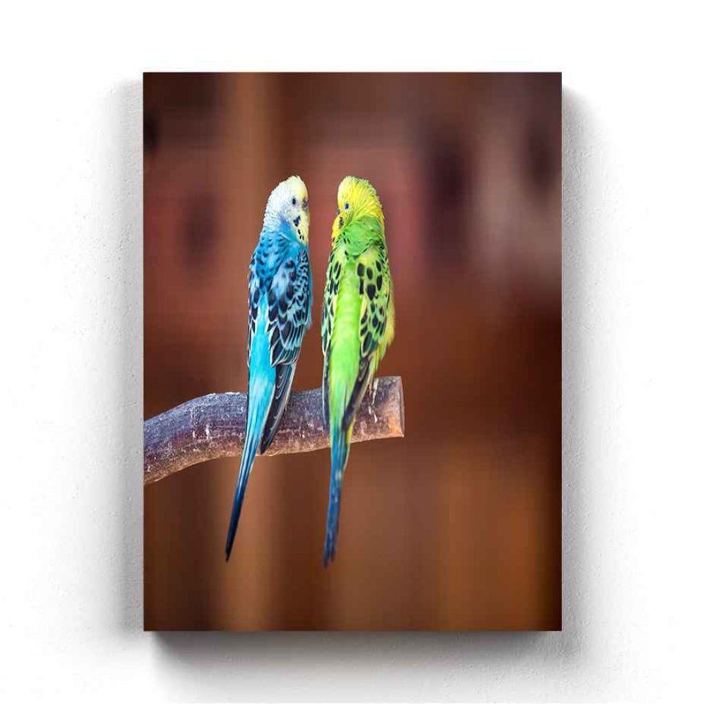 Love Birds - Animal Art Frame For Wall Decor- Funkydecors Xs / Canvas Posters Prints &amp; Visual