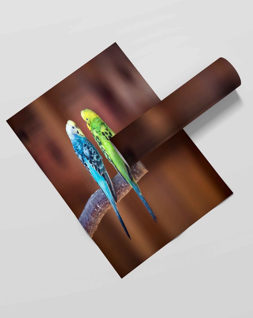 Love Birds - Animal Art Frame For Wall Decor- Funkydecors Xs / Roll Posters Prints &amp; Visual Artwork