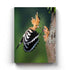 Motherhood Love - Animal Art Frame For Wall Decor- Funkydecors Xs / Canvas Posters Prints & Visual