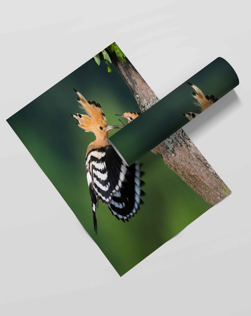 Motherhood Love - Animal Art Frame For Wall Decor- Funkydecors Xs / Roll Posters Prints &amp; Visual