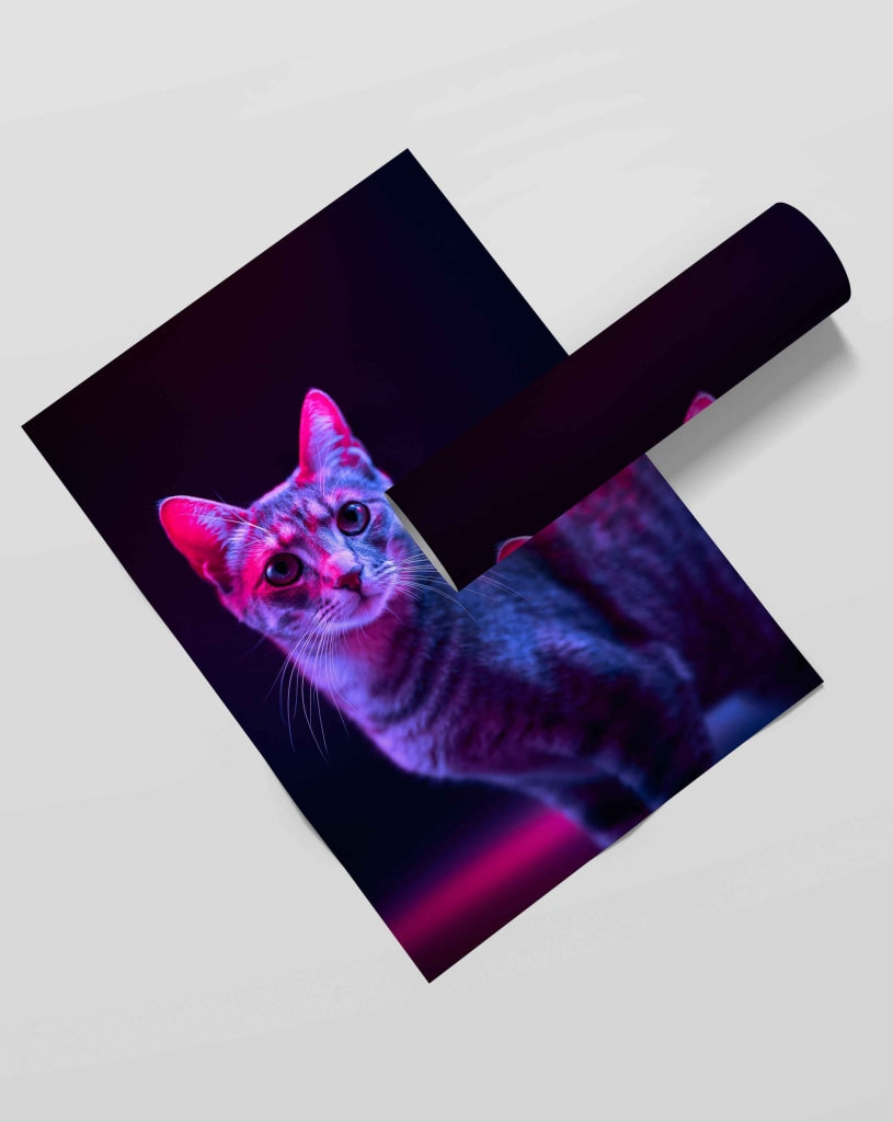 Picturesque - Animal Art Frame For Wall Decor- Funkydecors Xs / Roll Posters Prints &amp; Visual Artwork