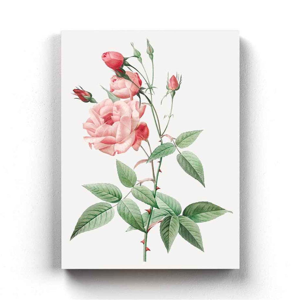 Pink Roses - Nature Art Frame For Wall Decor- Funkydecors Xs / Canvas Posters Prints & Visual
