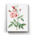 Pink Roses - Nature Art Frame For Wall Decor- Funkydecors Xs / Canvas Posters Prints & Visual