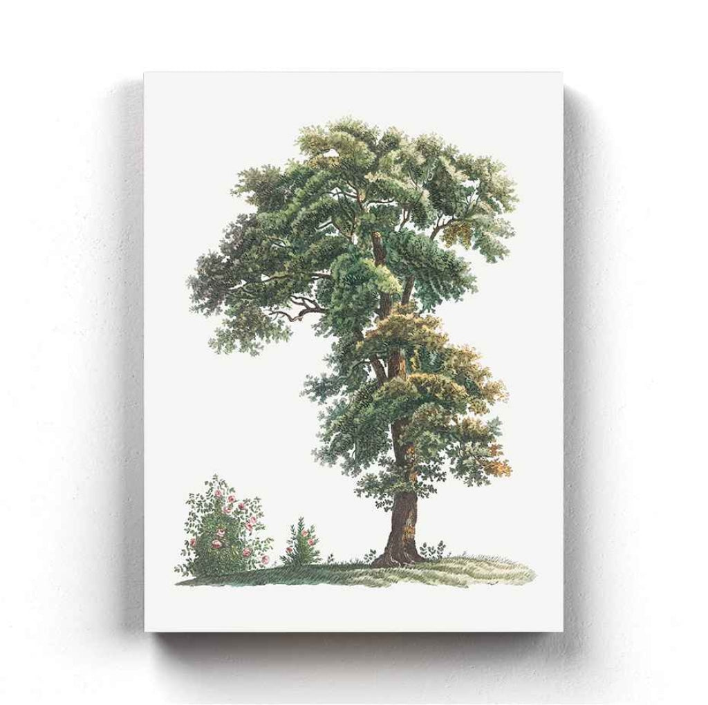 Shades Of Green - Nature Art Frame For Wall Decor- Funkydecors Xs / Canvas Posters Prints & Visual