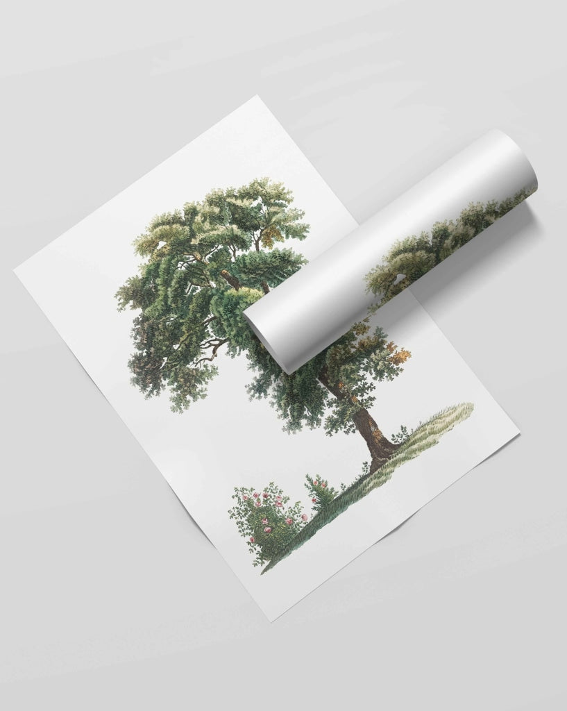 Shades Of Green - Nature Art Frame For Wall Decor- Funkydecors Xs / Roll Posters Prints &amp; Visual