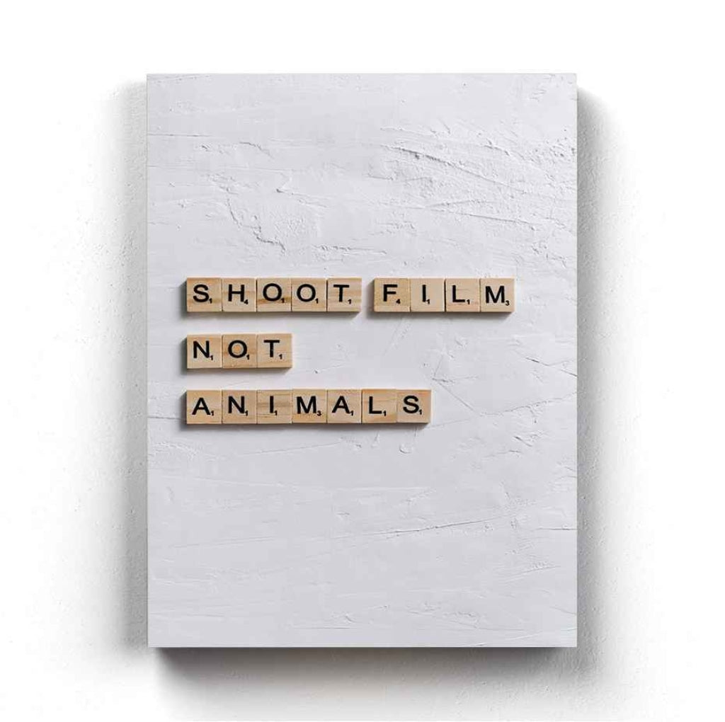 Shoot Films Not Animals - Quotes Art Frame For Wall Decor- Funkydecors Xs / Canvas Posters Prints &amp;