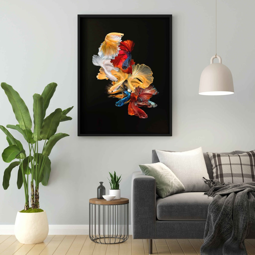 Siamese Beauty - Animal Art Frame For Wall Decor- Funkydecors Xs / Black Posters Prints &amp; Visual