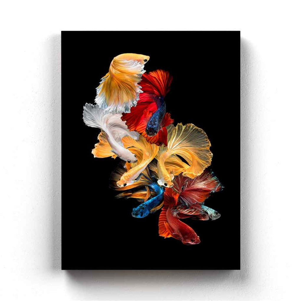 Siamese Beauty - Animal Art Frame For Wall Decor- Funkydecors Xs / Canvas Posters Prints &amp; Visual