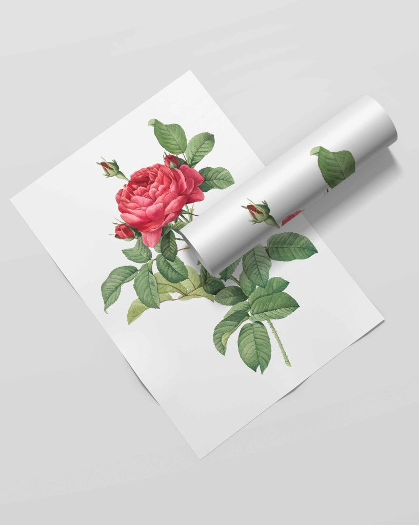 Sign Of Love - Nature Art Frame For Wall Decor- Funkydecors Xs / Roll Posters Prints &amp; Visual