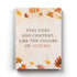 Stay Cozy - Inspirational Quotes Art Frame For Wall Decor- Funkydecors Xs / Canvas Posters Prints &