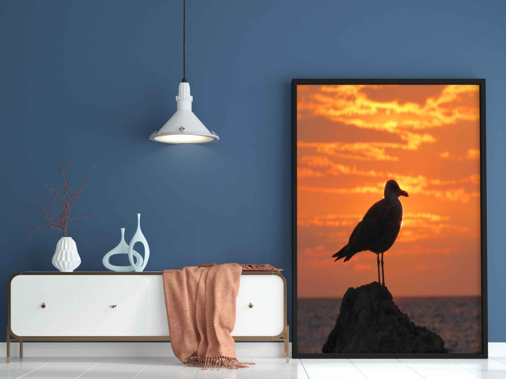 Sun And Bird - Animal Art Frame For Wall Decor- Funkydecors Xs / Black Posters Prints &amp; Visual